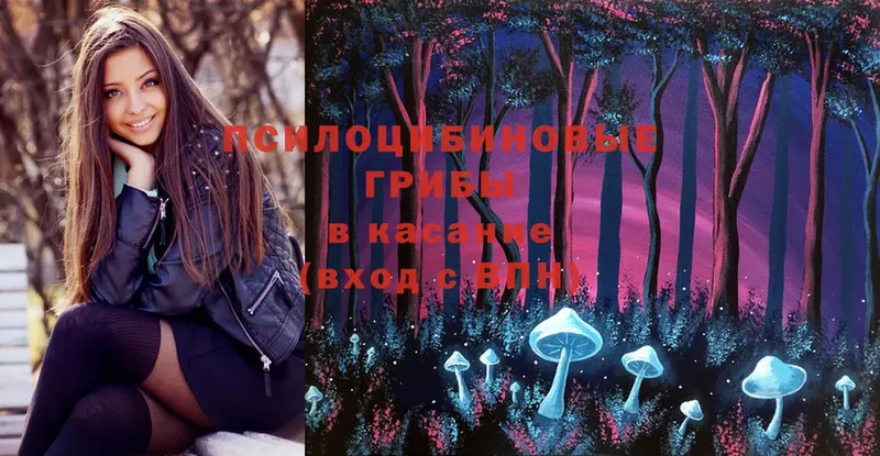 Галлюциногенные грибы Psilocybe  МЕГА вход  Тюмень 